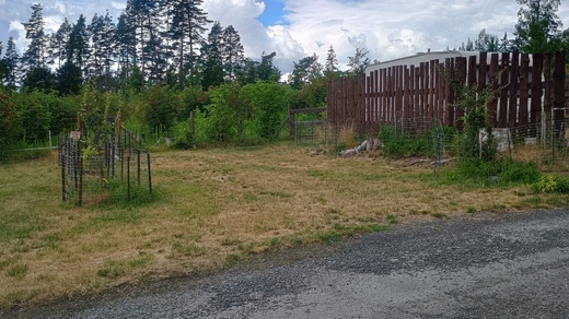 IMG_20250710_121650794_HDR.jpg